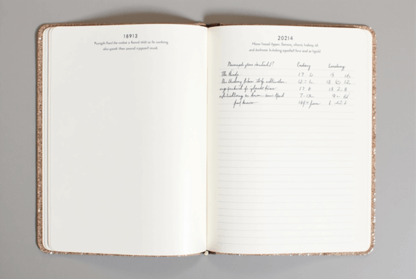The Essential Wedding Journal – Your Companion to ‘I Do’